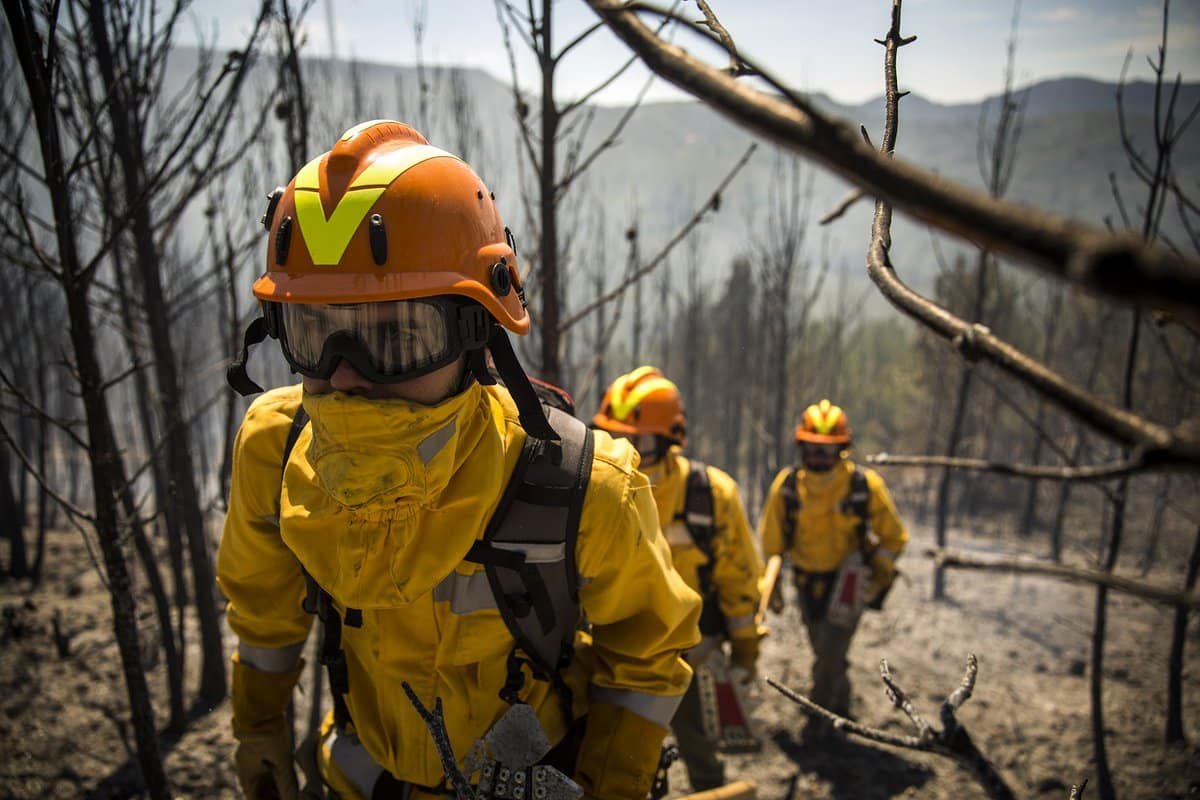 Accesorios Y Equipos Para Bomberos - Imagen 15